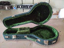 Case de Banjo Verde Liso com Pelúcia Verde