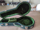 Case de Banjo Verde Liso com Pelúcia Verde